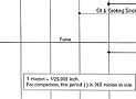 RELATIVE SIZE OF COMMON AIRBORNE CONTAMINATNTS